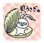 貝うさぎ