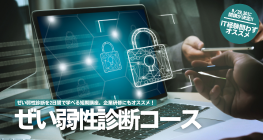ぜい弱性診断コース