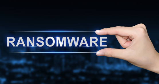 BlackSuitについて